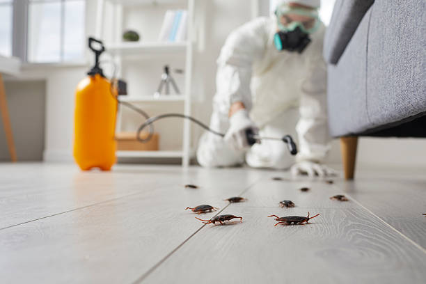 Affordable Cockroach Control solutions in Montclair State University, NJ